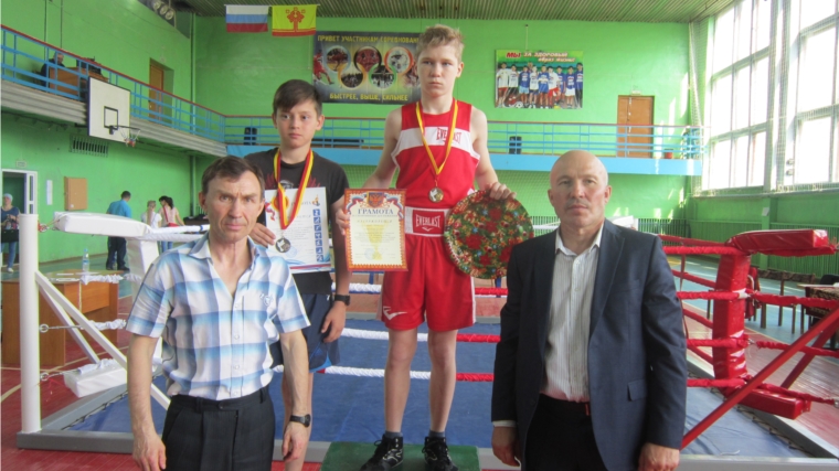 Турнир по боксу памяти Меркурия Николаева